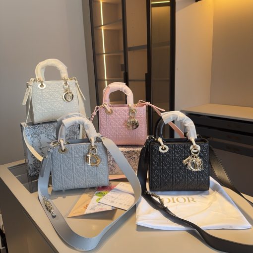 DIORStar relief Princess Diana bag